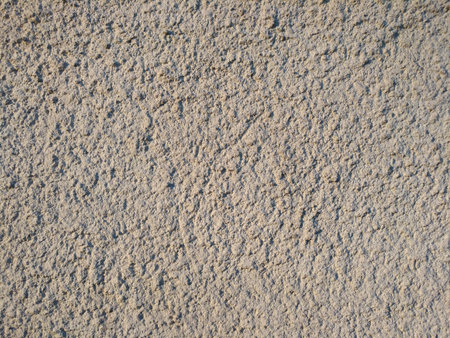 A rough plastered surface, showing an outer covering with the help of a casting, spraying of cement. A kind of facing of buildings from the outside. Free space for textの写真素材