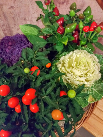 Still life of vegetables a large flower made from cabbage leaves cherry tomatoes and leaves, decorative decoration of a dish, a festive tableの写真素材