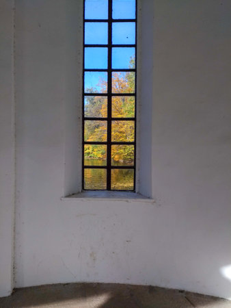 Autumn landscape, foliage of yellow, orange, green colors, foliage, sky against window, nice lined branches, beauty of nature, park, paving stoneの写真素材