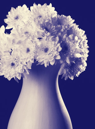 bouquet of flowers in vase on blue backgroundの写真素材