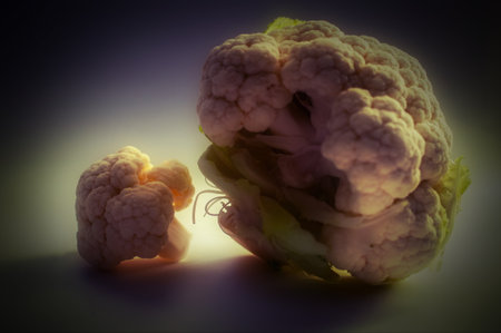fresh cauliflower on neutral background, isolated with smaller elementの写真素材