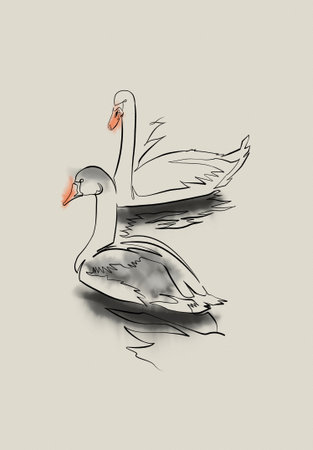 Goose and swan, drawing, continuous line with watercolor touchの写真素材