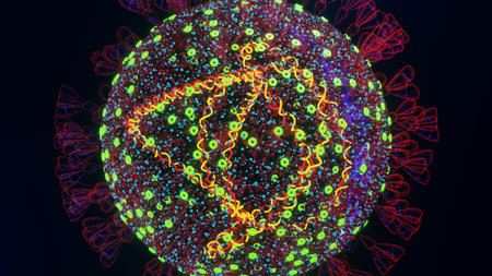 Mutated Omicron SARS-CoV-2 virus. Electron microscope transparent enlargement size computer model with RNA and N-protein visible. 3D rendering.の写真素材