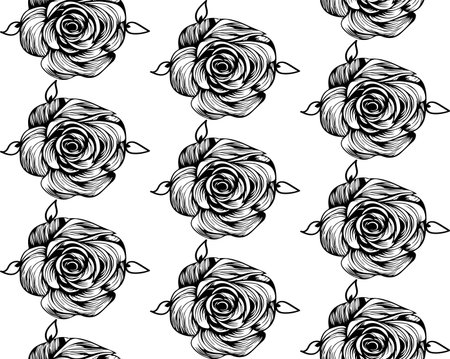Seamless vector line art pattern made of black hand drawn roses flowers on whiteのイラスト素材