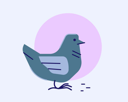 Minimalist clipart of pigeon, modern flat style vectorのイラスト素材
