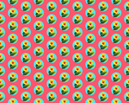 Seamless pattern made of hibiscus flowers. seventies retro style punchy colorsの写真素材