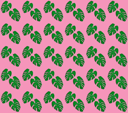 Monstera leaves on pink background, seamless vectorのイラスト素材