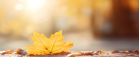 Yellow maple leaf on the ground in the autumn park. Autumn backgroundの素材