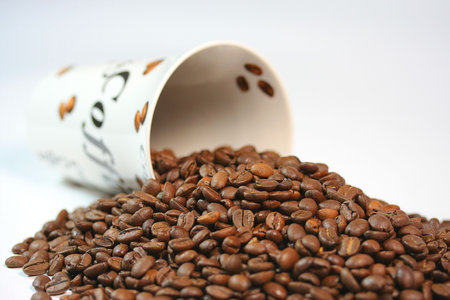 Coffeeの写真素材