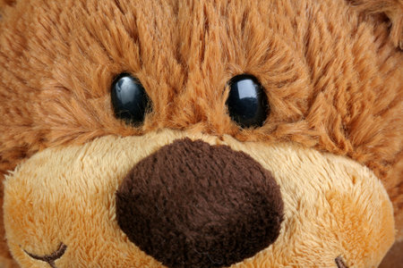 Teddy bearの写真素材