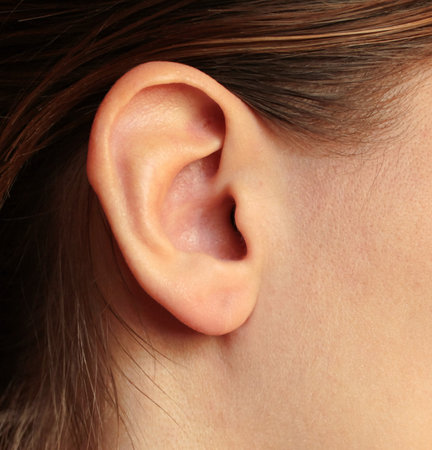 A girl's ear brown-haired women hearing snail