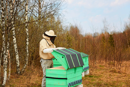 beekeeper bee hive in the forest