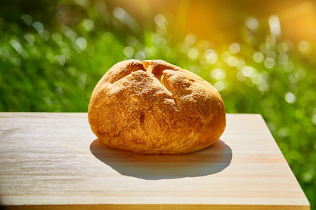 bread is on the table against the greenの写真素材
