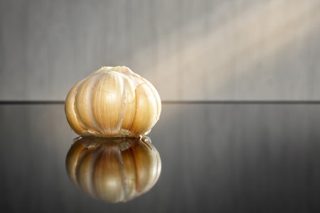 a whole garlic lies on the black mirror table in a beam of lightの写真素材