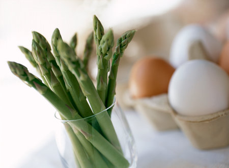Asparagusの写真素材