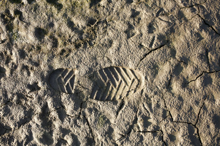 Human footprint in mudの写真素材