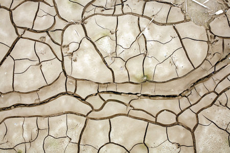 cracks in drying mudの写真素材