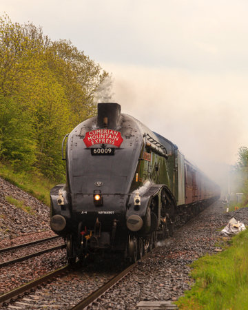 The Cumbrian Mountain Express.  Preserved steam locomotive, Union of South Africa, heads the Cumbrian Mountain Express through Culgaith, on the Settle to Carlisle railway in England.のeditorial素材