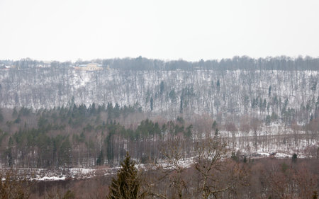 The view across the Gauja River Valley in Sigulda, Latvia.  Sigulda is a part of the Gauja National Park.のeditorial素材