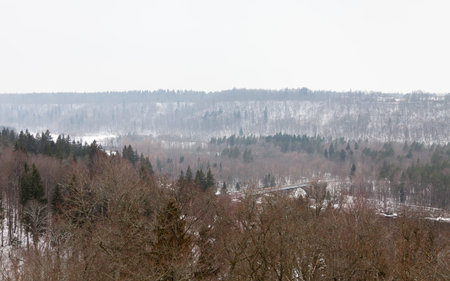 The view across the Gauja River Valley in Sigulda, Latvia.  Sigulda is a part of the Gauja National Park.のeditorial素材