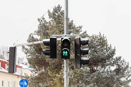 A snow covered green light is displayed on a pedestrian crossing in Salzburg, Austria.