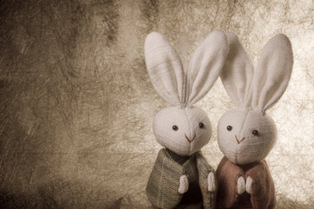 couple cute Japanese rabbits on paper background