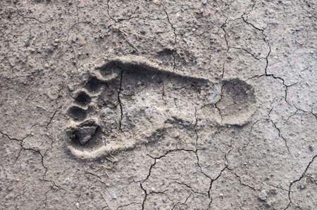 A footprint of human on dry crack soil cause droughtの写真素材