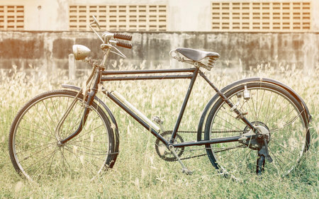 Vintage Bicycle at garden fields with orange vintage tone and flareの写真素材