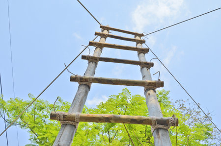 Sky bridge with rope for boy scout trainigの写真素材