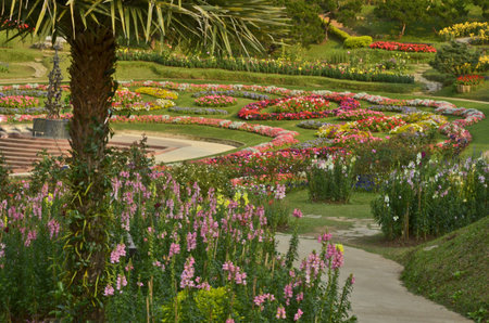 Beautiful color flower garden in vallayの写真素材