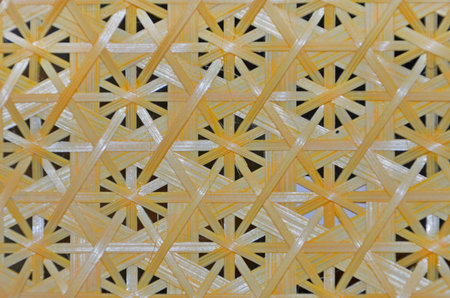 Beautiful webbed bamboo pattern