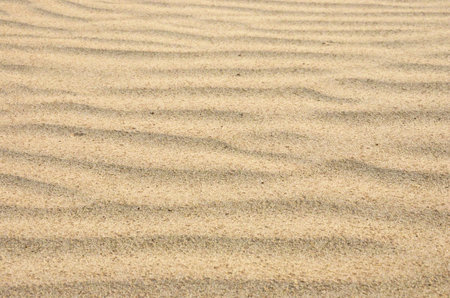 Beautiful nature golden sand waves
