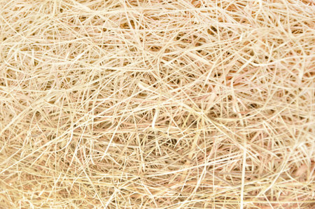 Woven dry grass of bird nestの写真素材