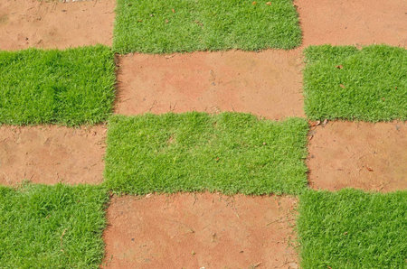 Rectangle green grass on wet sandの写真素材