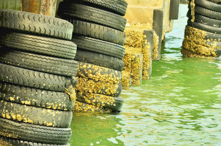 Oysters and old tire at the pierの写真素材