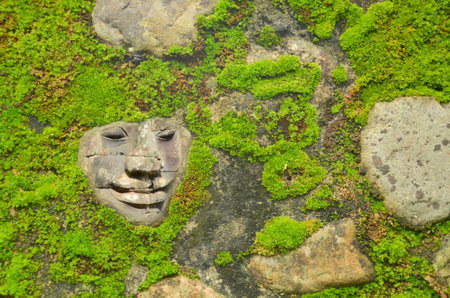 God face with lichens on stone wallの写真素材
