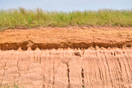 Pattern of soil texture after rainedの写真素材