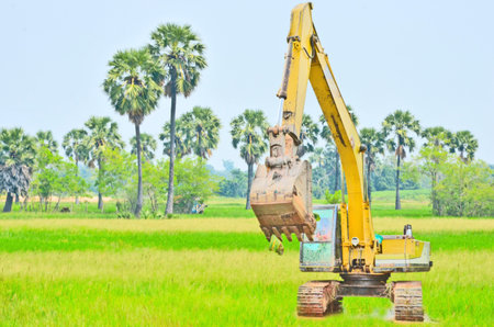  Yellow excarvater in the rice fieldの写真素材