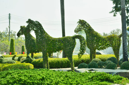 Three tree horses in the parkの写真素材