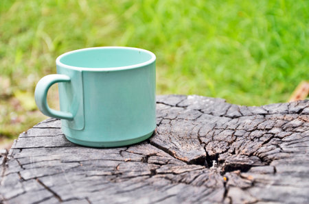Green coffee cup on the stumpの写真素材