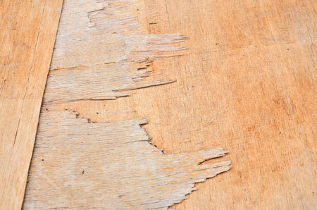 Pattern of old brown plywoodの写真素材