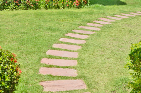 Stone pathway in grass field