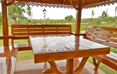 Stylish benches in wood pavilionの写真素材