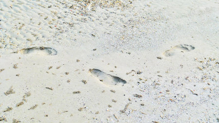 Foot print in the wet sand