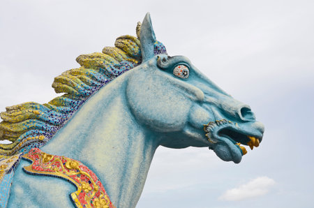 Ugly horse on sky backgroundの写真素材