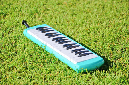 Blue melodien for kids on green grassの写真素材