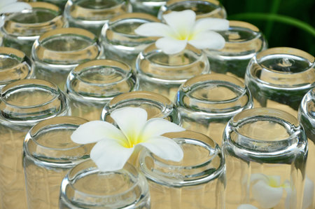 White flowers on the glass bottomの写真素材