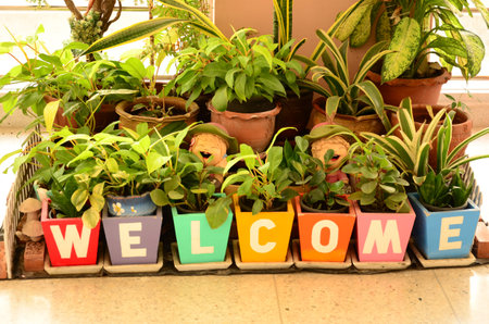 Welcome sign with ornament plantsの写真素材