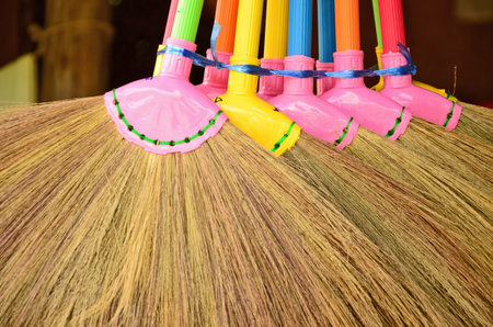 Color handle of grass boomsの写真素材