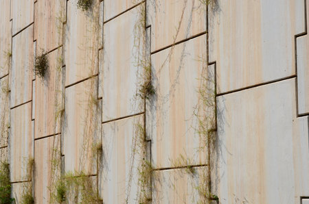 Grass on slit of concrete block